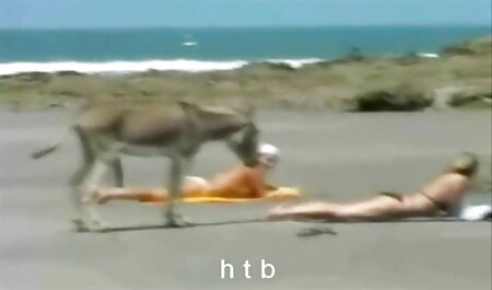 Tình dục quay ở châu Âu kết hôn videos x nhat với người yêu