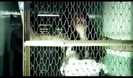 Gái điếm-Orgasma Celeste kịch với âm đạo video xex nhat và vàng